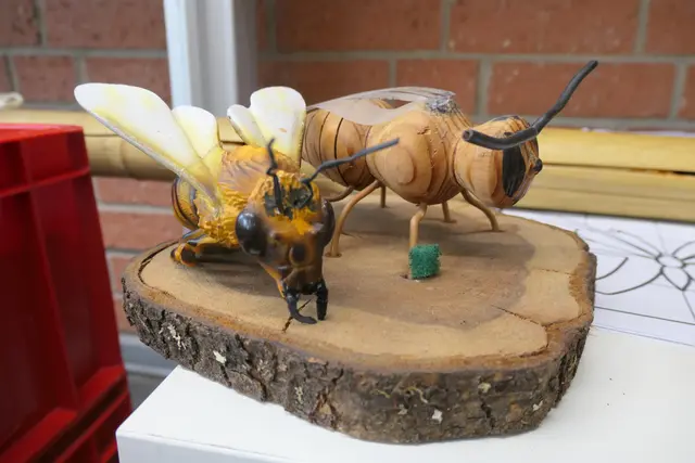 Modelle der Wildbienen: Anschaulich und kindgerecht – so lernen die Schülerinnen und Schüler die kleinen Bestäuber ganz genau kennen. | Foto: Andreas Gries