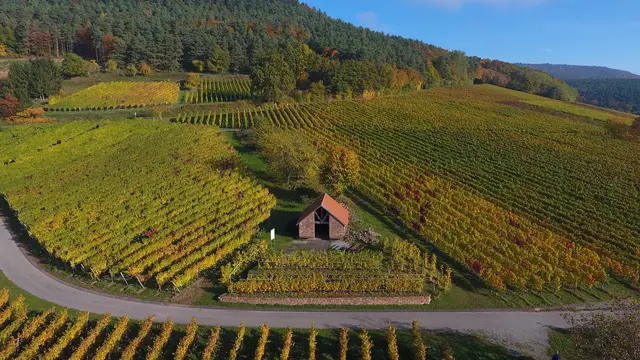 Pavillon im Bürgstadter Weinberg | Foto: Vereinsring Markt Bürgstadt