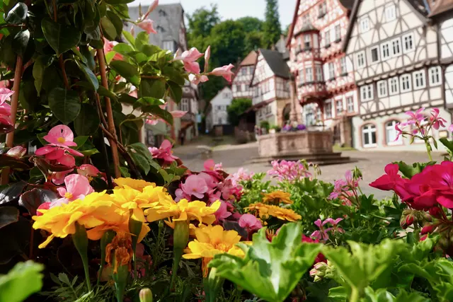 Miltenberg am Marktplatz - nicht im Dornröschenschlaf, sondern schon präsent und wachsam für kommende festliche Tage Ende August, Anfang September.
