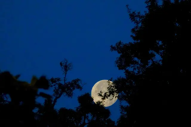 Vollmond am frühen Morgen - kurz vor Monduntergang. 