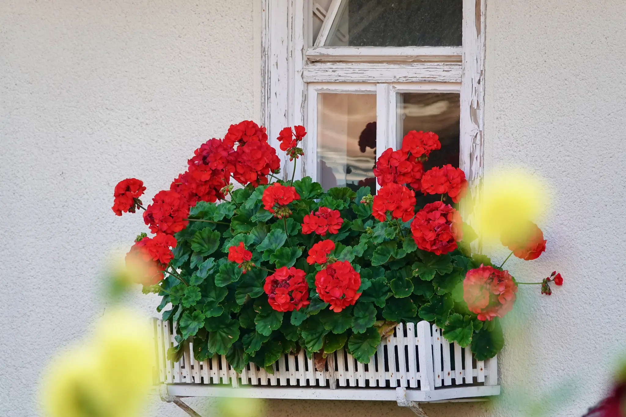 Vorteile-und-Ideen-zum-Urlaub-daheim-oder-auf-neudeutsch-Staycation-