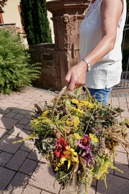 Rechtzeitig und fleißig gesammelt wurden von hiesigen Frauen und Männern die „Zutaten“ zur „Wurzberde“, auch Kräuterbüschel genannt, aus Feld und Flur, vom Wegrand und von Gärten: Blumen, Getreide, Kräuter und weitere heilbringende Pflanzen. 