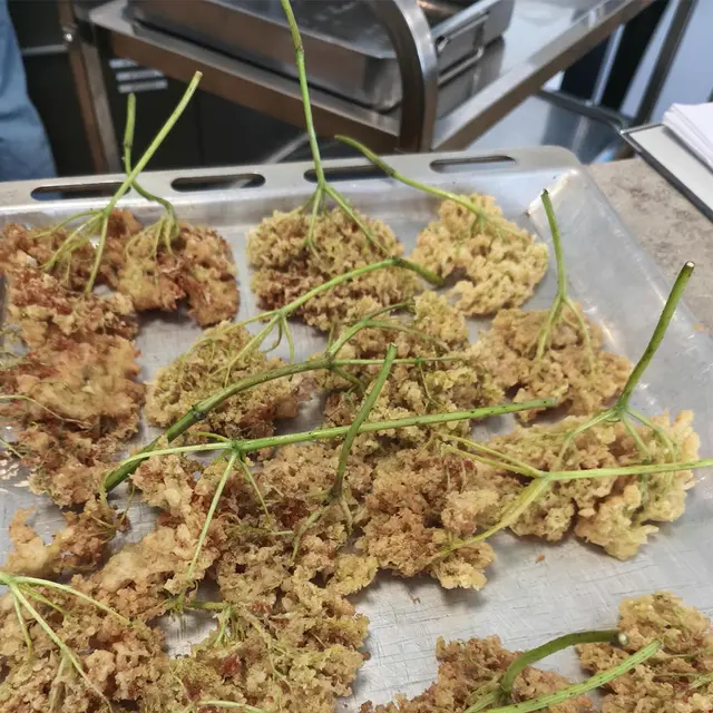 Foto: (c) Ambulanter Pflegedienst Hand in Hand GmbH