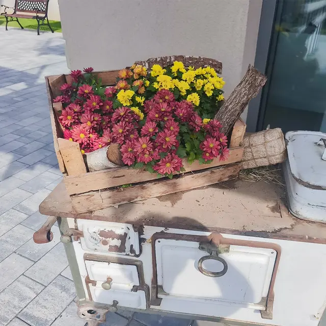 Foto: (c) Ambulanter Pflegedienst Hand in Hand GmbH