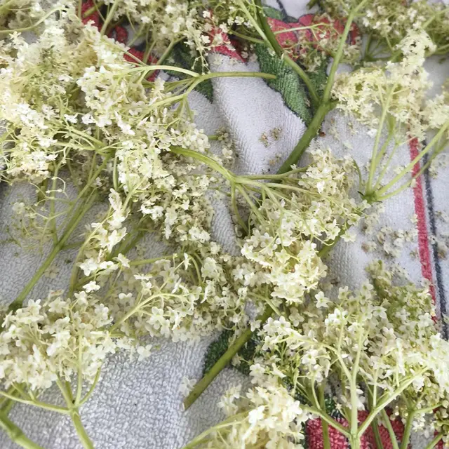 Foto: (c) Ambulanter Pflegedienst Hand in Hand GmbH