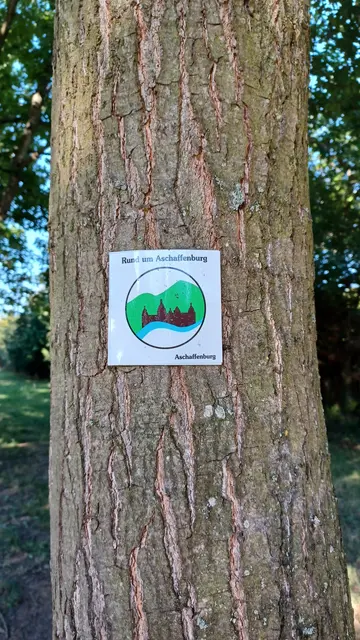 Rund um Aschaffenburg | Foto: Wolfgang Giegerich