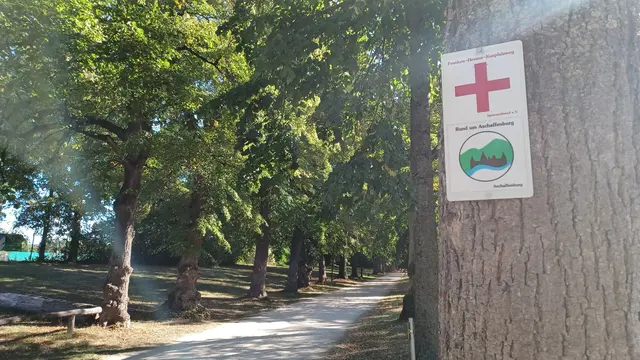 Durch die Schönbusch-Allee | Foto: Wolfgang Giegerich