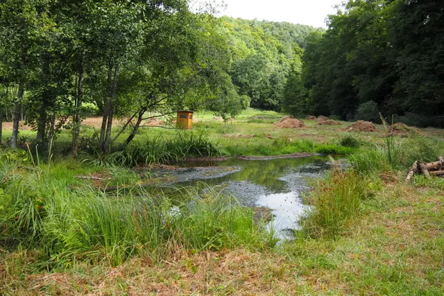 Feuchtegebietsmosaik an der Unterneudorfer Mühle

 | Foto: Landschaftserhaltungsverband