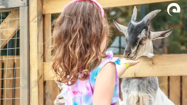 Foto: Landratsamt Neckar-Odenwald-Kreis