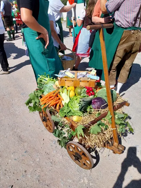 viel frisches Gemüse