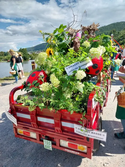 Achtung, Brennnessel an Bord