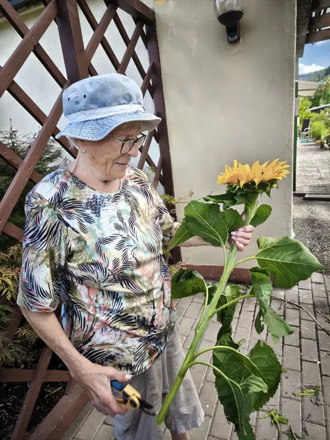 mit Bedacht bekommt der Wagen den letzten Schliff in Form einer Sonnenblume
