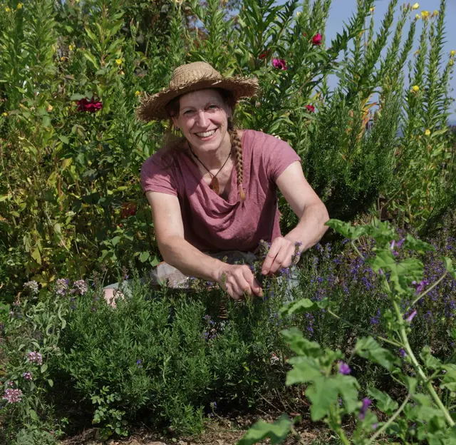 Den Auftakt bei den landesweiten Öko-Aktionswochen macht im Neckar-Odenwald-Kreis am Dienstag, 16. September, der Workshop „Wildkräuterküche“ mit Regina Binkele vom „Kräuter- und Heilpflanzen-Labyrinth an der Scheuer“ in Hochhausen.






 | Foto: Landratsamt Neckar-Odenwald-Kreis