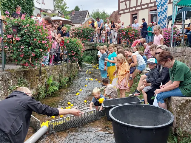 Öbbelwoifest 2024 - Zieleinlauf des Entenrennens | Foto: OGV Laudenbach