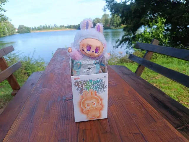 Der Labubu-Hype ist auch im Raum Miltenberg angekommen.