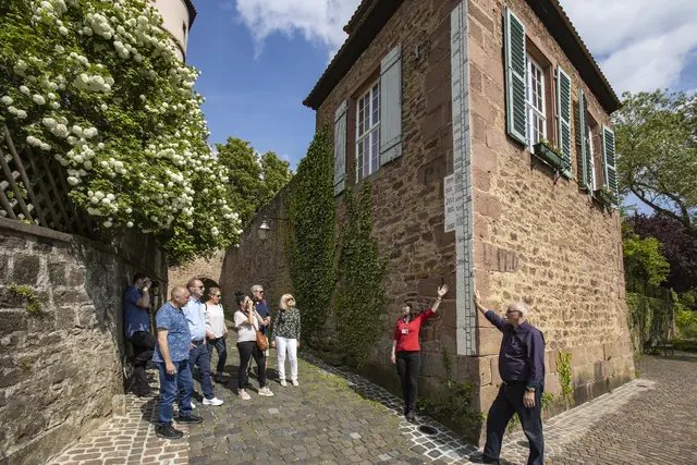 Führung durch Wertheim | Foto: Holger Leue