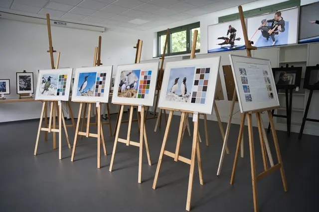 Einblick in die Fotoausstellung | Foto: Benjamin Nebel