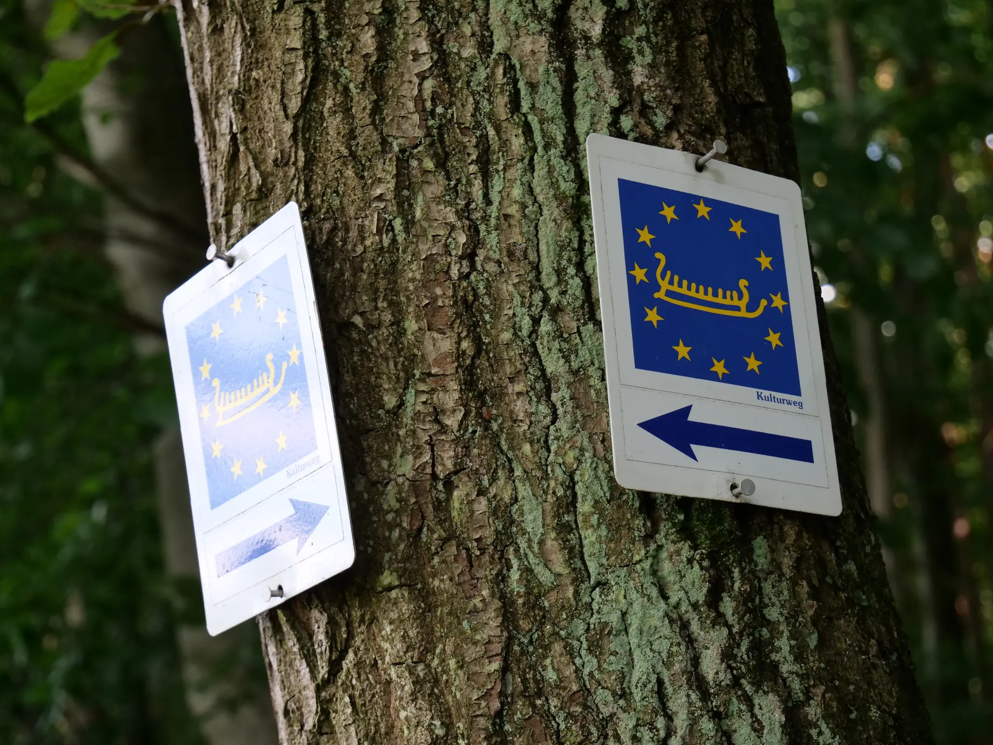 -Wo-der-Wolf-am-Kirchpfad-heult-