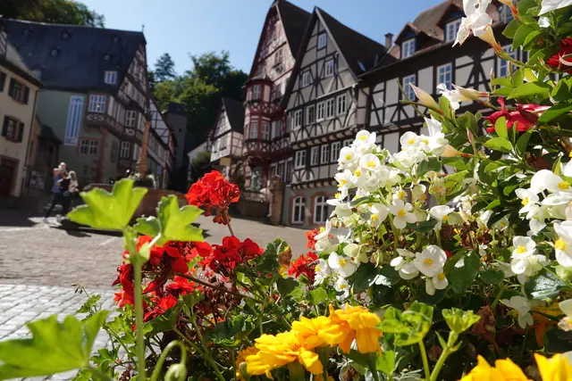 Abwechslungsreiches Rahmenprogramm: Es gibt Führungen durch die Miltenberger Altstadt, Weinbergs-Wanderungen und spezielle Angebote für Kinder, die das Festprogramm des Miltenberger Weinherbstes abrunden.