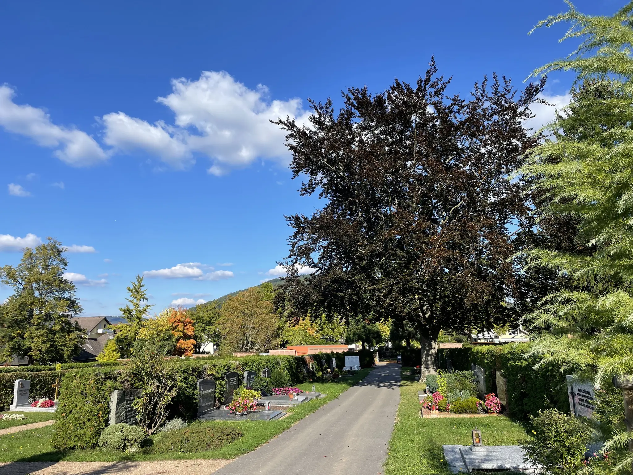 Nun-haben-wir-schon-Oktober-