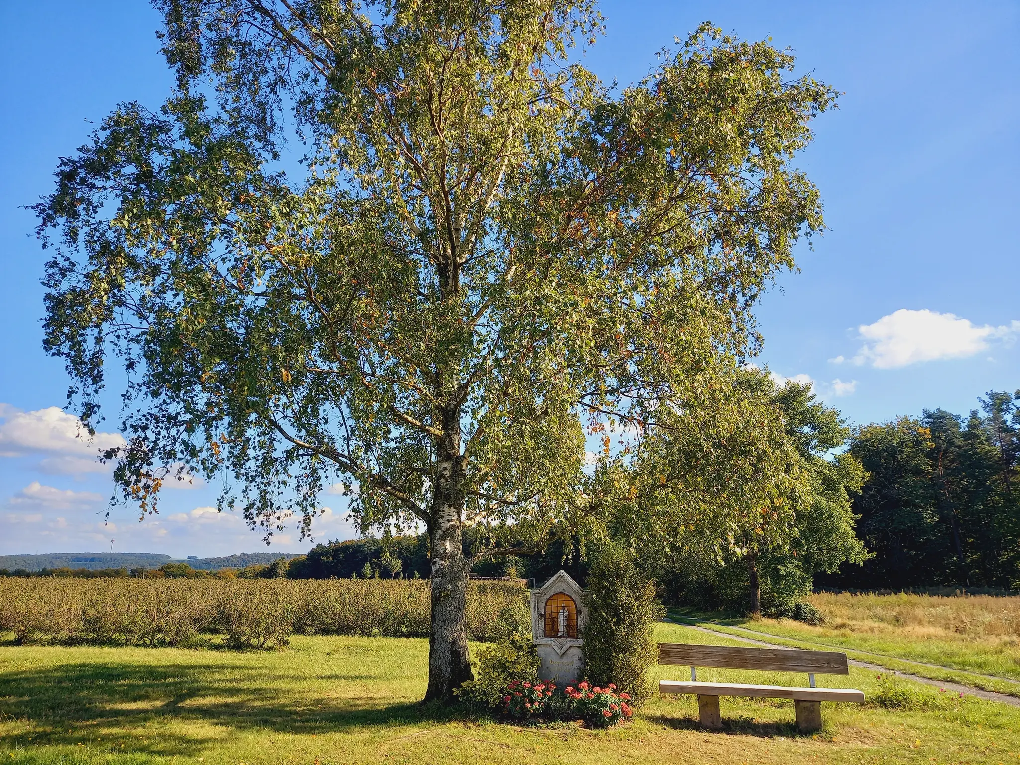 Meditativer-Rundweg-in-der-Mainbullauer-Flur