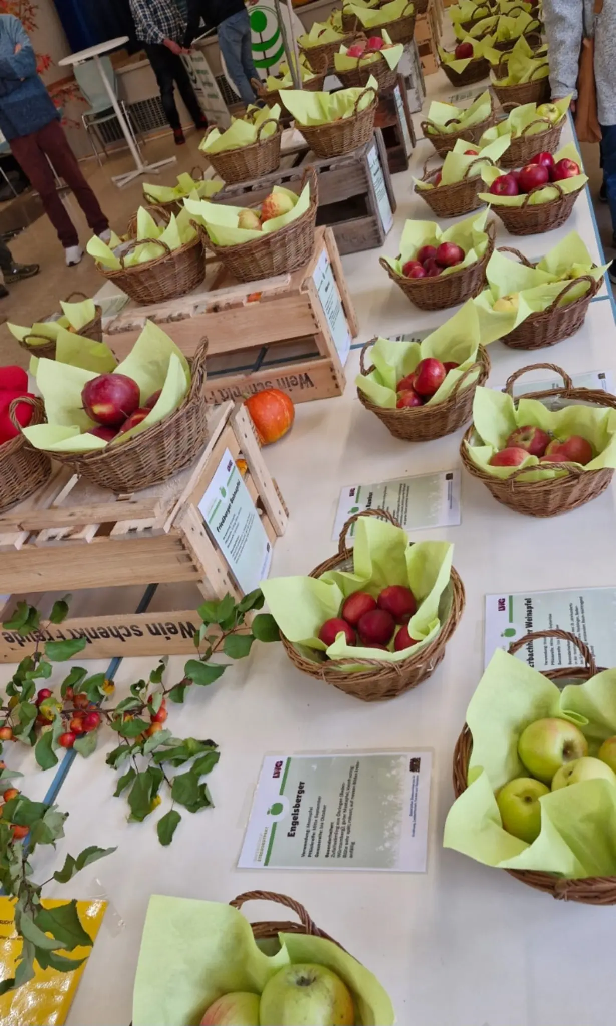 Apfelmarkt-in-Eschau
