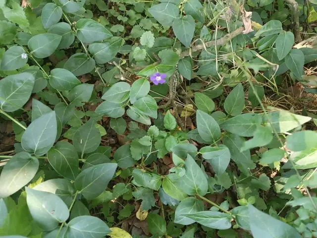 Foto: Anja Zeischold