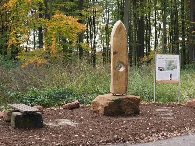 Foto: Naturschutzverein Erlenbach e.V.