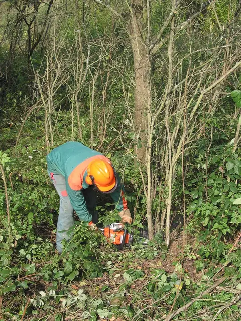 Gehölzrückschnitte sind nur außerhalb der Brut- und Nistzeit erlaubt.
 | Foto: © Siegmar Hartlaub