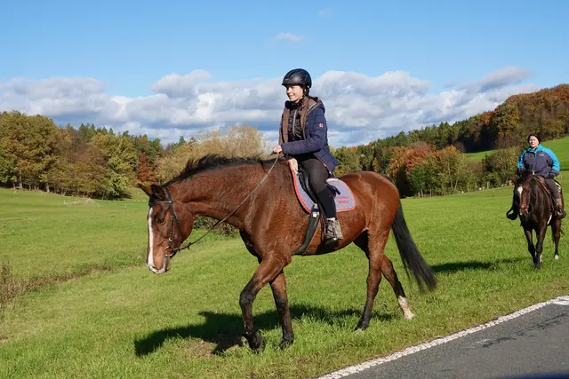 Der November verbindet

Ob jung oder alt, in der Stadt oder auf dem Land – der November ist ein Monat, in dem alle zur Ruhe kommen. 

Er verbindet das bunte Finale des Herbstes mit Momenten der Besinnlichkeit und Dankbarkeit.