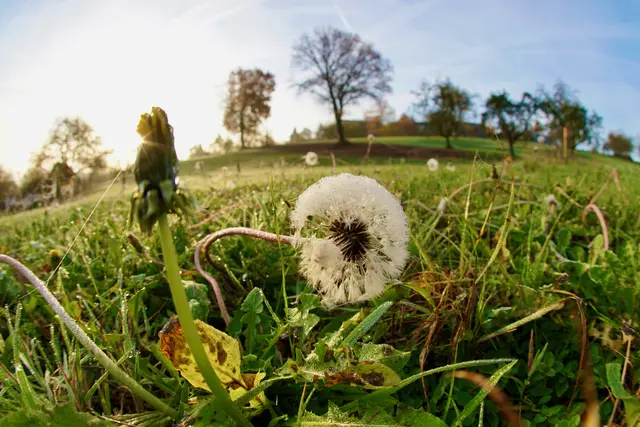 Zwischen Raureif und Reifenwechsel, Gedächtnistagen und Gebäckregalen, zwischen Spinnweben und Lichterglanz zeigt sich: Wer den November zu schätzen weiß, entdeckt den Zauber im „grauen“ Monat – und trifft dabei jede Menge skurriler Gestalten. 