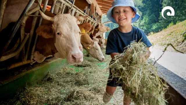 Foto: Landratsamt Neckar-Odenwald-Kreis