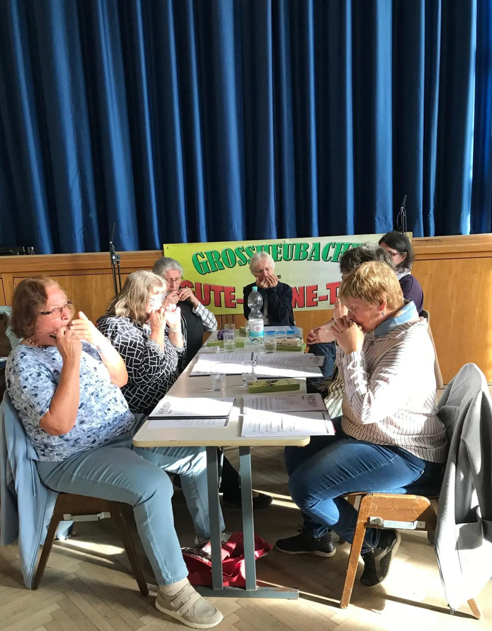 Mundharmonikagruppe-spielt-im-GLT