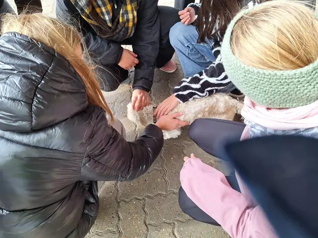 Hundestreicheln inklusive... | Foto: Rainer Schäfer