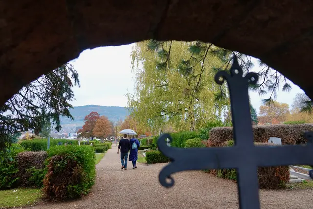 Was wäre eine Beziehung ohne gemeinsame Erinnerungen? Richtig: Ein endloses erstes Date. Gemeinsames Lachen über den ersten missglückten Kochabend, das Foto vom Urlaub mit Sonnenbrand – das alles schweißt zusammen. Und wenn’s mal kracht, hilft ein „Weißt du noch, damals…?“ oft mehr als jede Paartherapie.