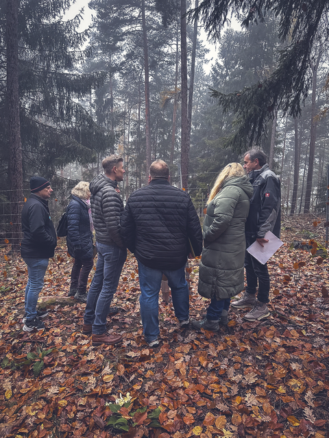 Foto: Martin Koch (23/7)