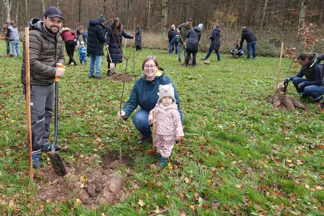  Hochzeitsbäumchen gepflanzt im Schöner, dem Külsheimer Stadtwald, vorne bei Winterlinden-Pflanzung, Vater Dominik, Mutter Lisa und Marlena Pahl aus Külsheim. Foto Roland Schönmüller 