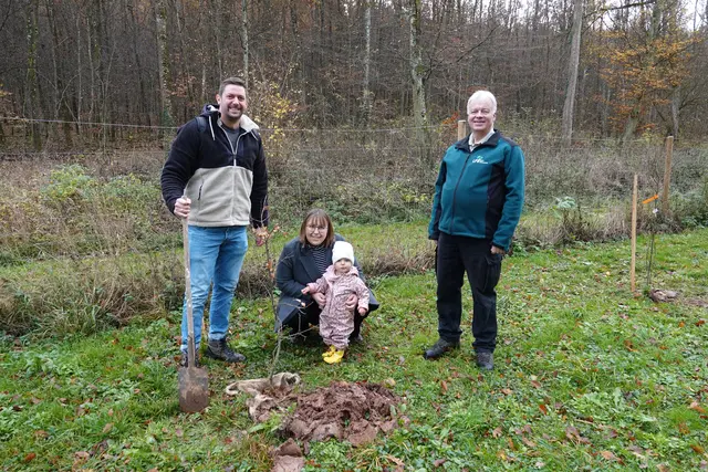 Hochzeitsbäumchen gepflanzt. Thorsten und Lisa Markl mit Tilda (15 Monate alt) aus Külsheim waren mit dabei. Jetzt freut sich die kleine Eiche auf gute Wachstumsbedingungen. Revierleiter Mathias Mattmüller wird in den nächsten Wochen ein wachsames Augen darauf halten. Foto Roland Schönmüller 


