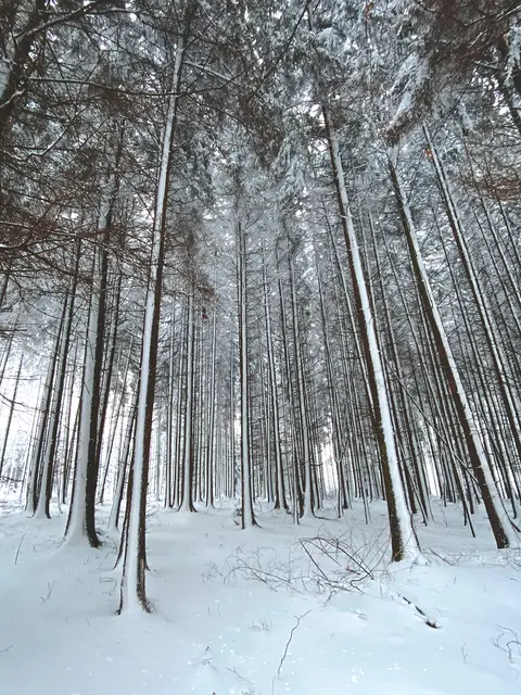 Foto: © DREI AM MAIN · Lena Lenk