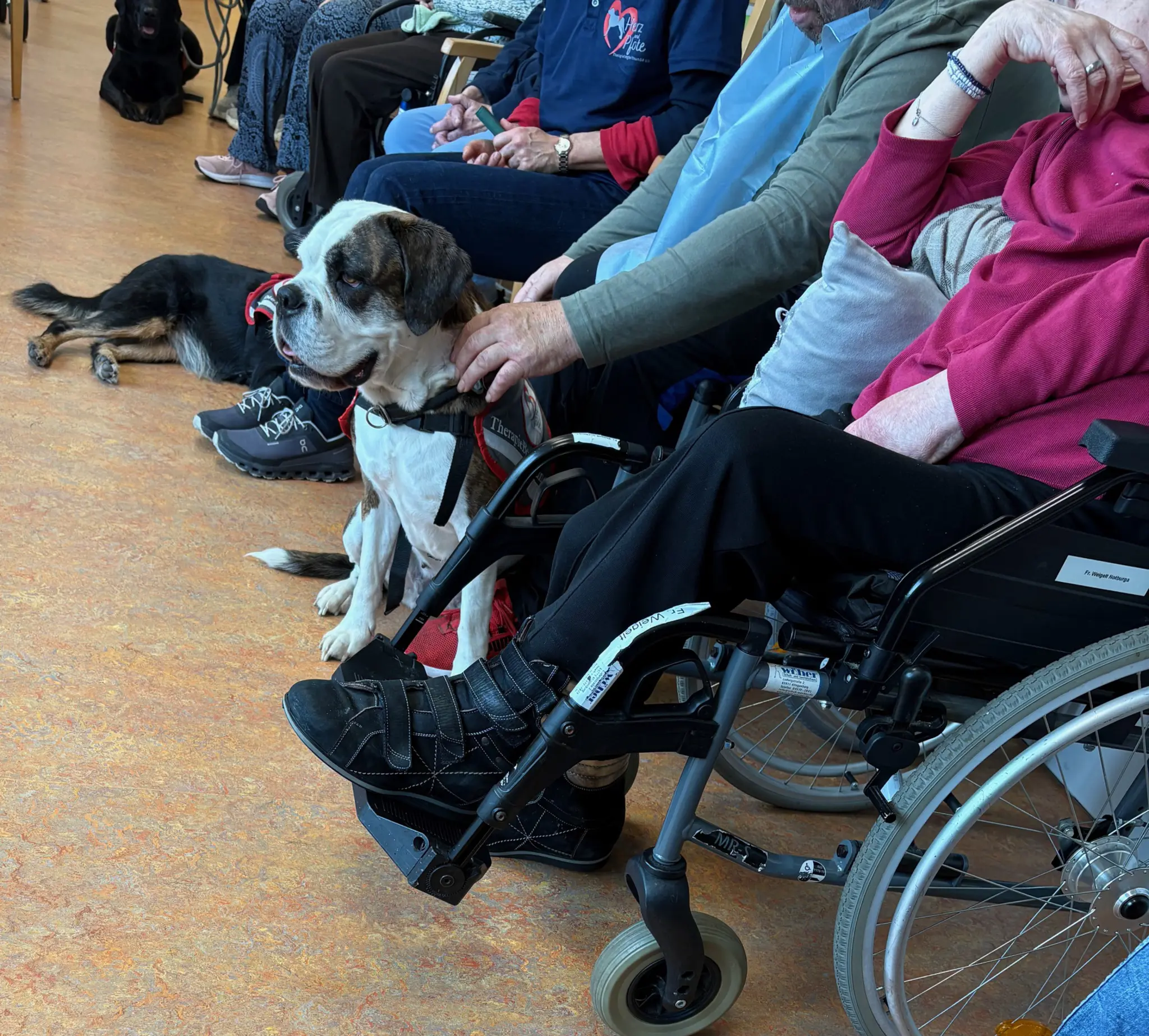 Smokey-Bonney-und-Magie-in-der-BRK-Tagespflege