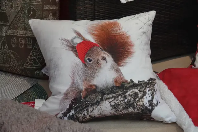 So stolpert der bald ankommende Dezember zwischen Sehnsucht und Schmunzeln, zwischen Hoffnung und Hustenbonbon – und schenkt uns die Erkenntnis: Wer mit Humor hofft, hat schon halb gewonnen.