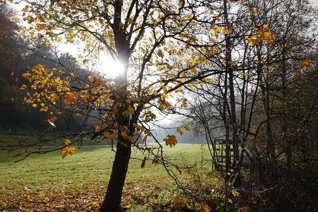 Herbst im Erftal bei Eichenbühl
