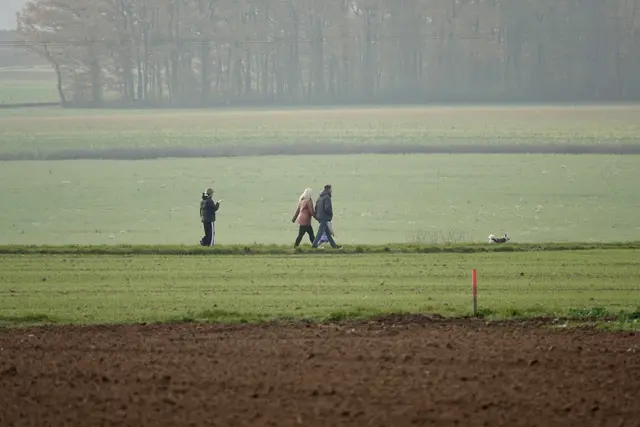 Spaziergang im Odenwald 