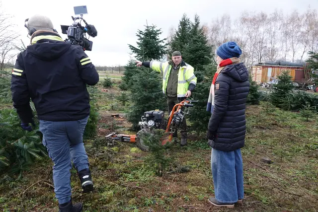 Die aktuelle Christbaum-Kampagne zeigt deutlich, wie wichtig regionale Produktion und zuverlässige Logistik für die Versorgung von Städten und Gemeinden sind.

Die hohe Qualität der Odenwälder Weihnachtsbäume, dokumentiert und begleitet durch ein Fernsehteam, setzt in diesem Jahr besondere Akzente und unterstreicht einmal mehr den Wert regionaler Produkte für das festliche Ambiente in deutschen Kommunen. 