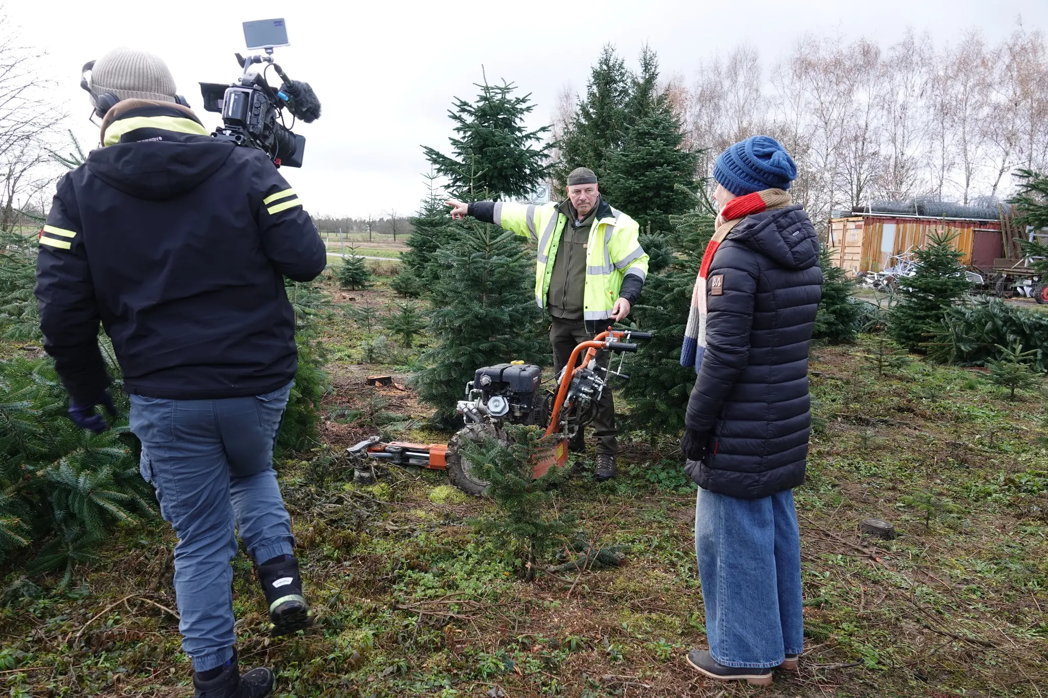 Aktuelle-Christbaum-Kampagne-Lieferung-an-Kommunen-und-Qualit-tsvorteile-des-Odenwaldes-