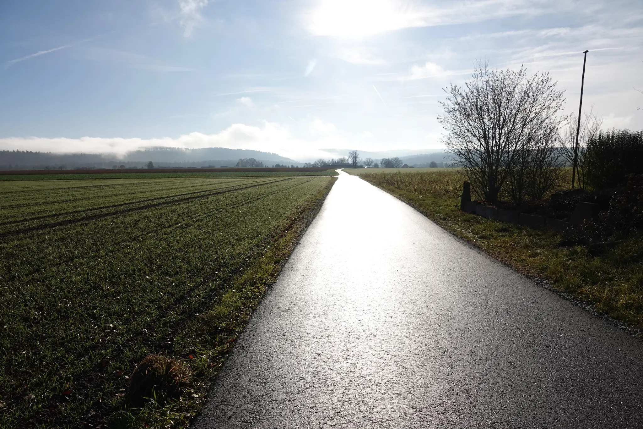 Zwischen-Zwang-und-Befreiung-Ein-seltenes-Kirchenpatronat-wird-bei-uns-in-Richelbach-gefeiert-