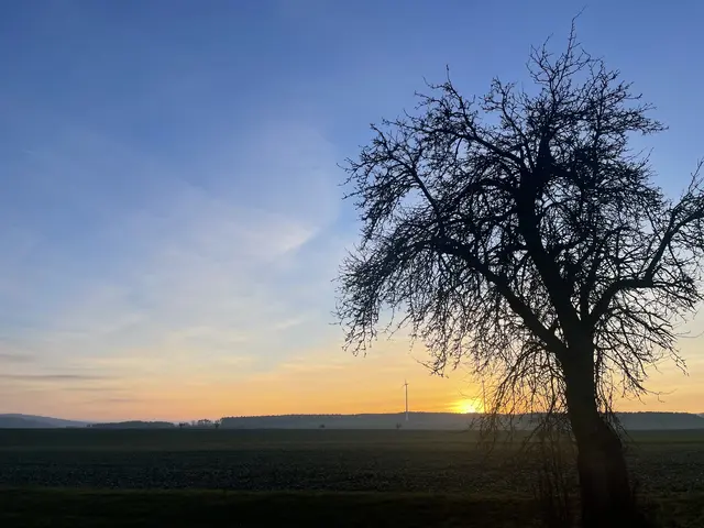 Dezemberabend im Odenwald