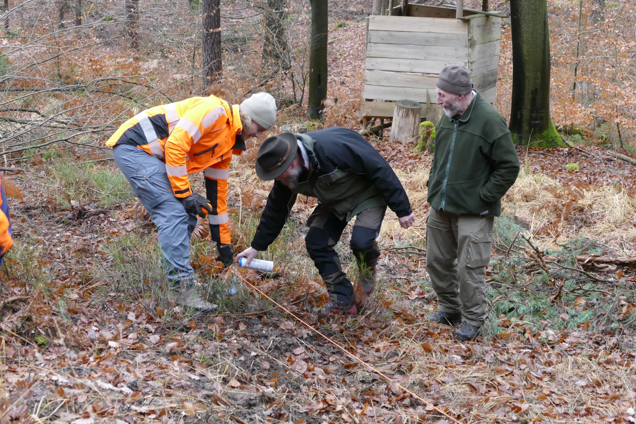 Femelhieb-und-Nelderrad-wie-der-Waldumbau-im-Kleinen-gelingt