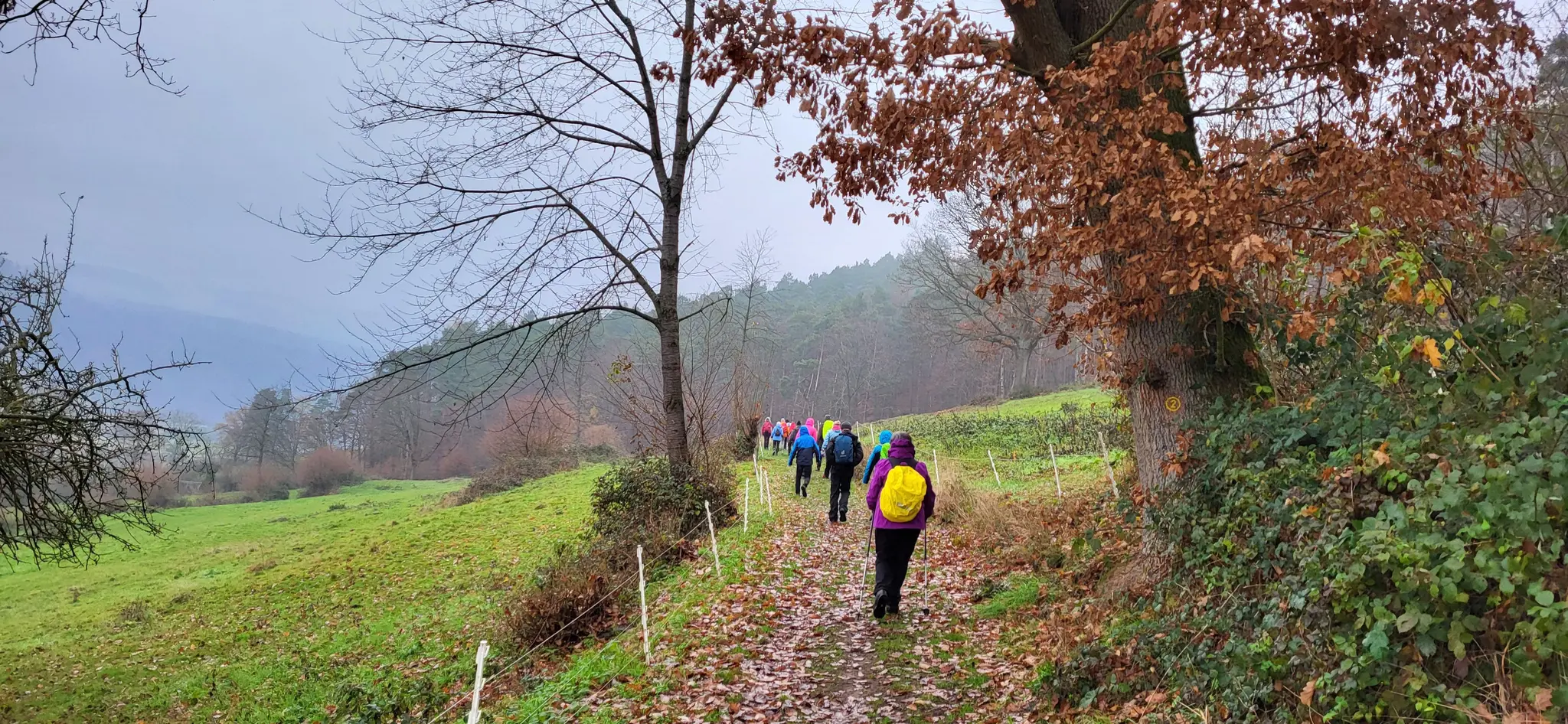 Rund-um-B-rgstadt-mit-Sabine-Alli-