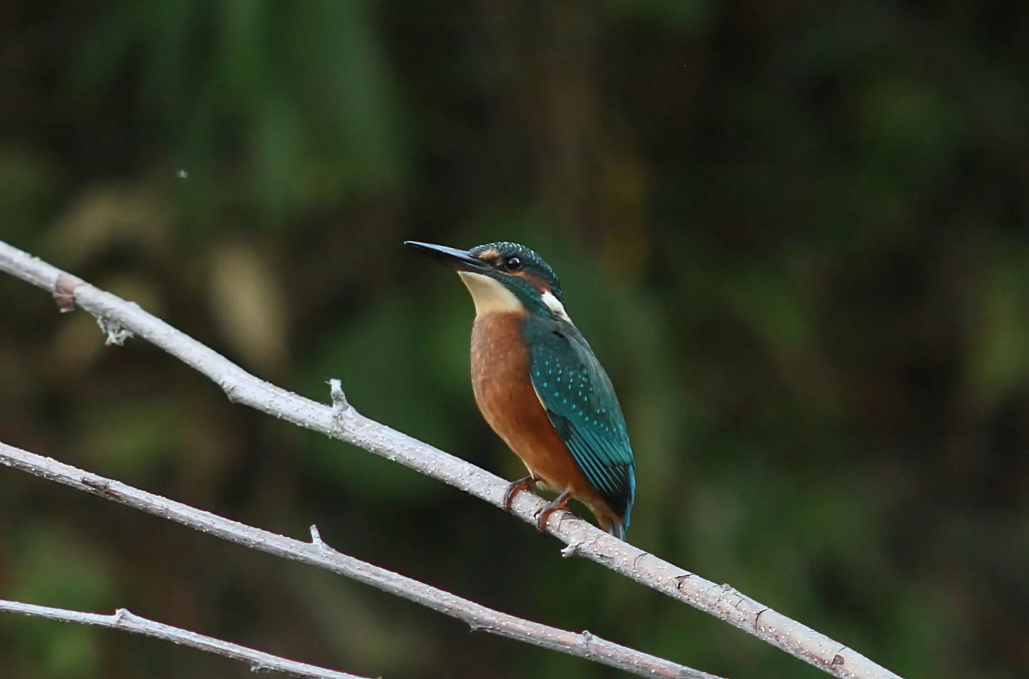 Lust-auf-Natur-Austausch-und-neue-Perspektiven-